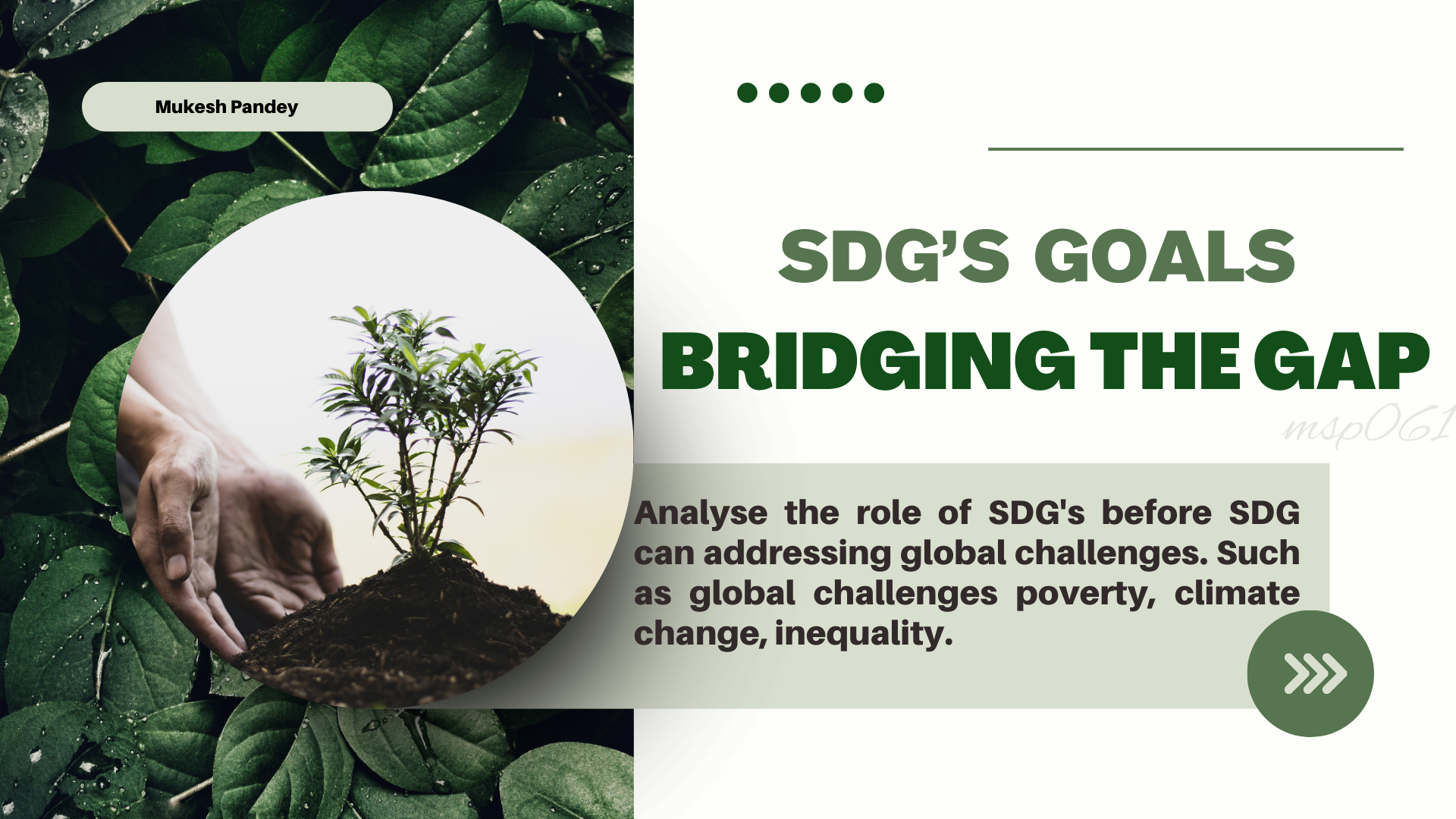 Analyse the role of SDGs before SDGs can addressing global challenges| Environment Studies